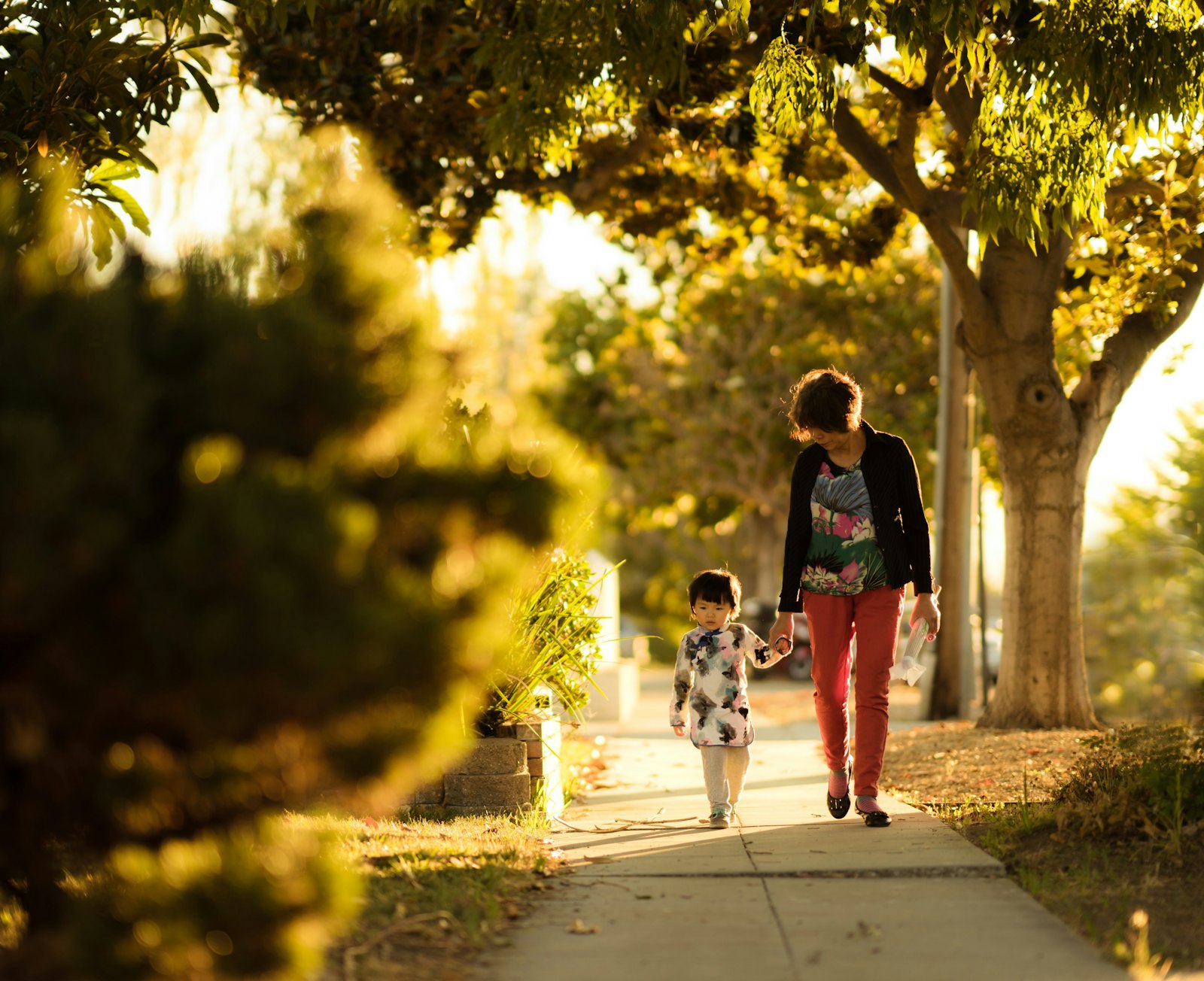 Mother and child walking hand in hand along a sunlit, tree-lined path