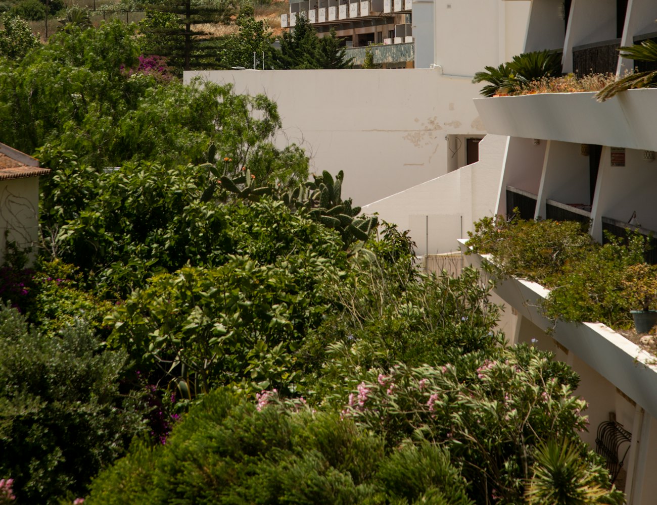 Green landscaped residential buildings