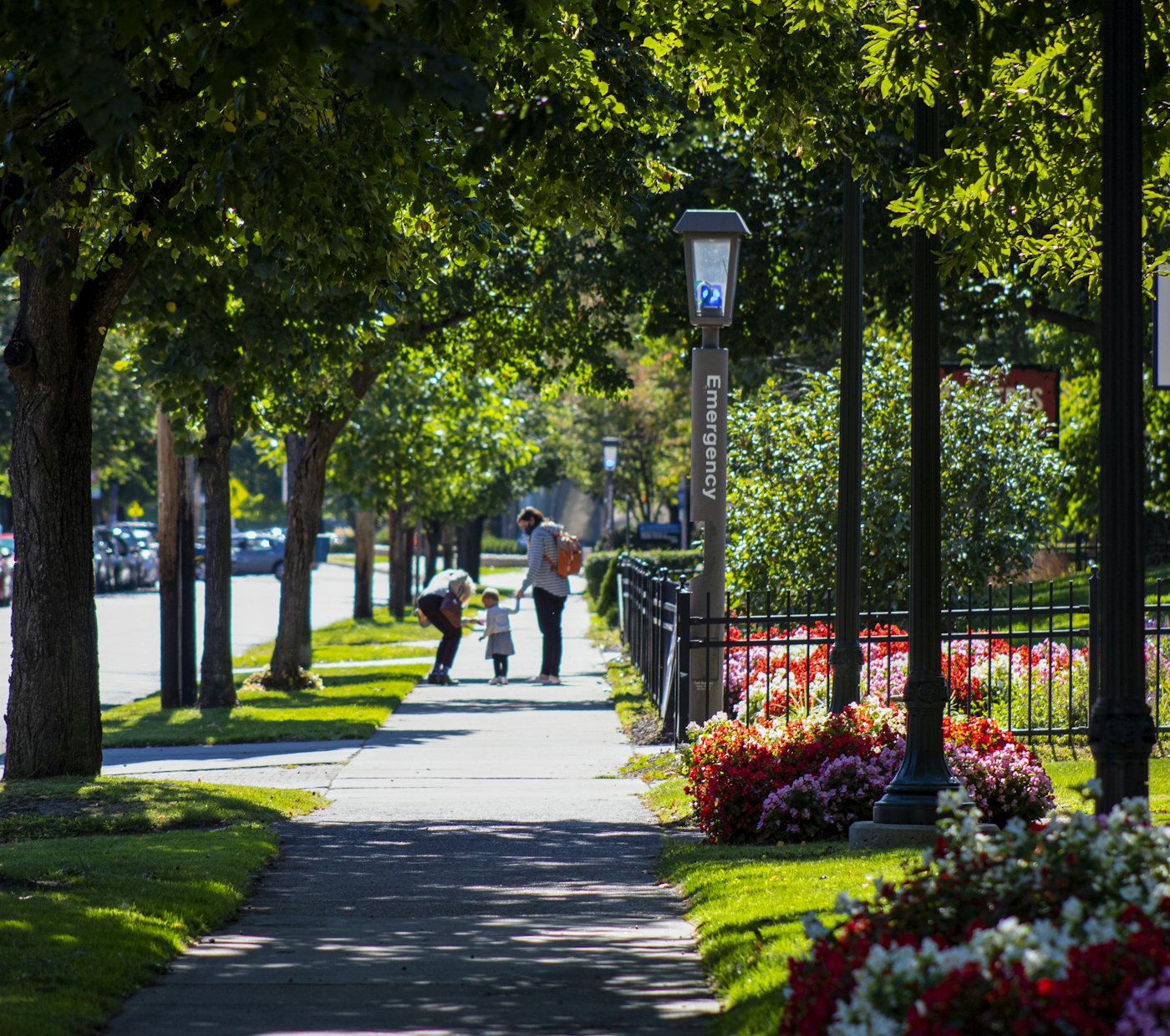 Tree-lined residential street with a parent and child walking