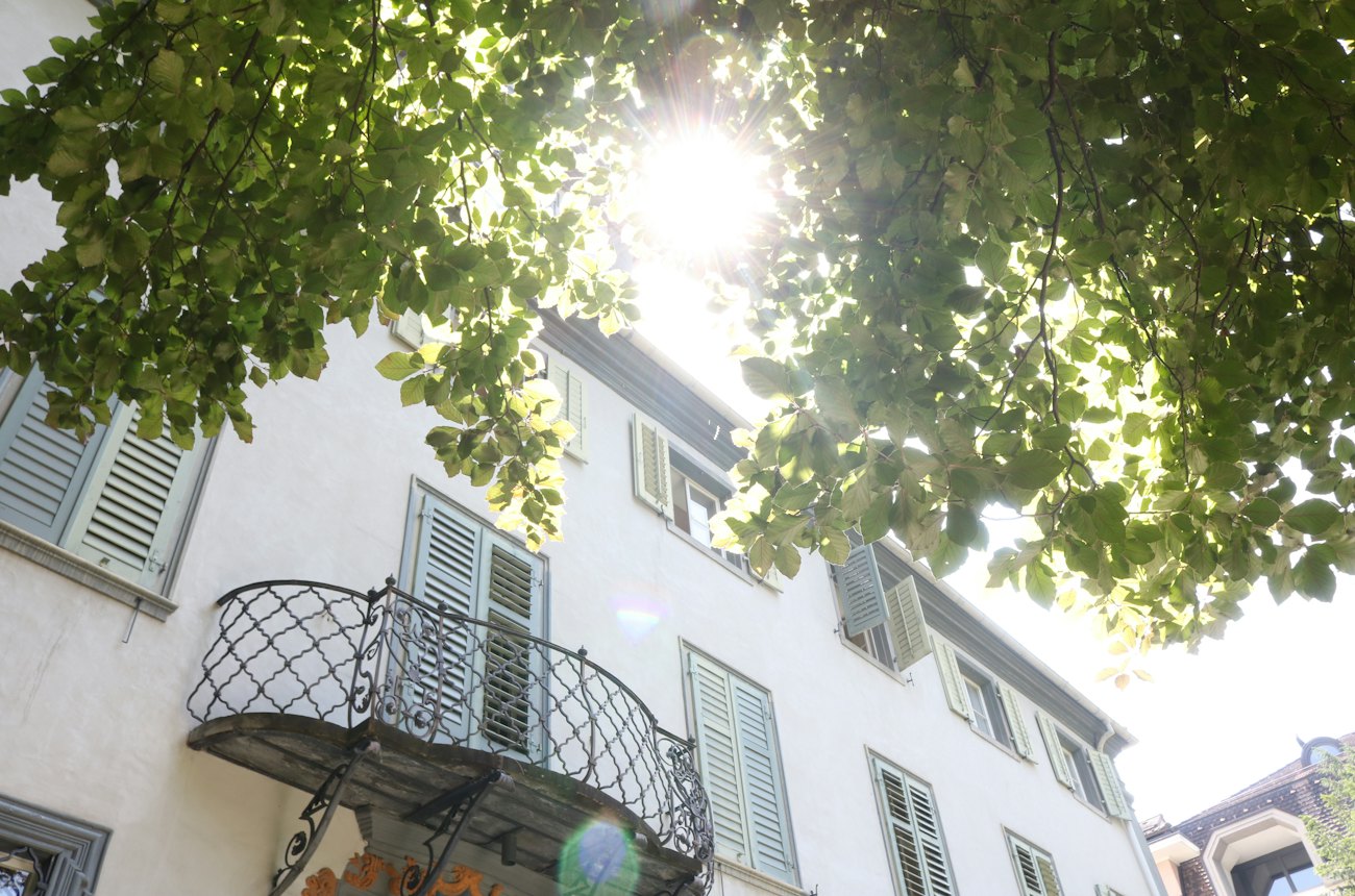 Sunlit residential building framed by green leaves