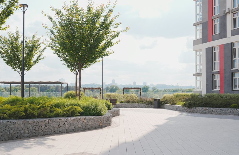 Paved walkway between residential buildings
